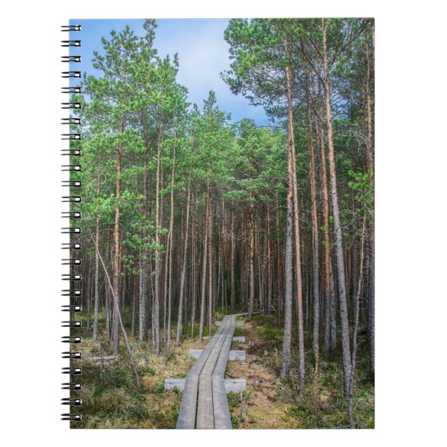 Holzweg im Kiefernwald Notizblock (Vorderseite)