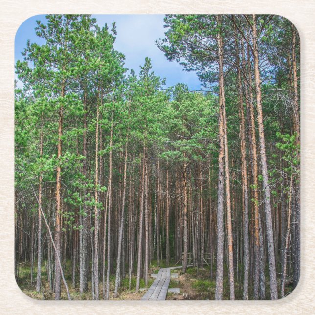 Holzweg im Kiefernwald Rechteckiger Pappuntersetzer (Vorderseite)