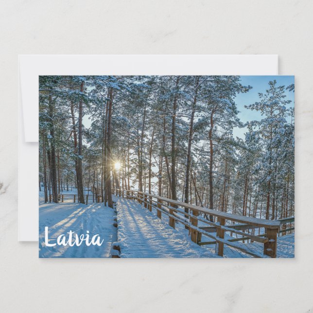 Holzweg über schneebedeckten Winterwald (Vorderseite)