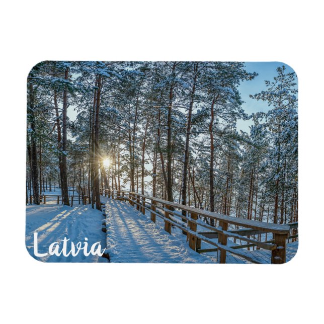 Holzweg über schneebedeckten Winterwald Magnet (Horizontal)