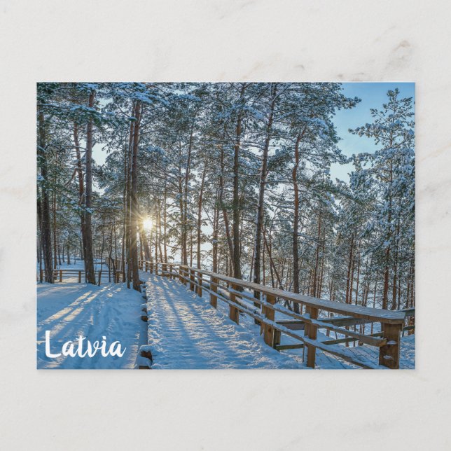 Holzweg über schneebedeckten Winterwald Postkarte (Vorderseite)