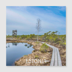 Holzweg über Sumpf in Estland Magnet
