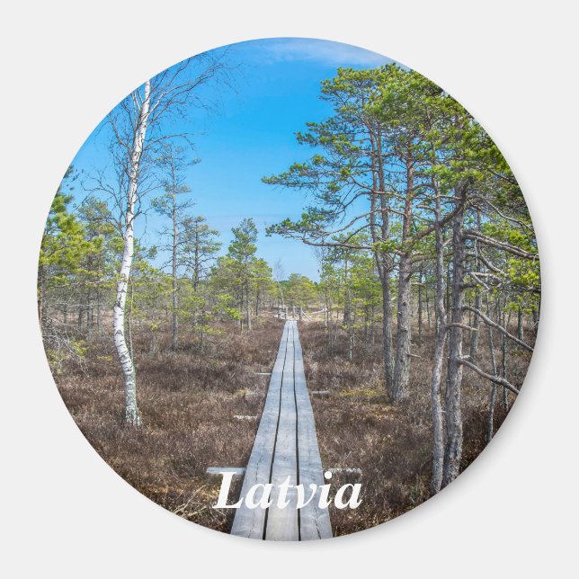 Holzweg über Sumpfmagnet Magnet (Vorne)