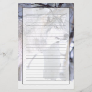 Holzwolf, Canis lupus, Film Animal Utah Briefpapier