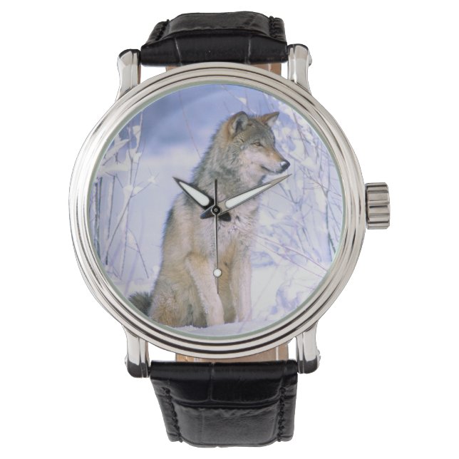 Holzwolf im Schnee, Canis lupus, Armbanduhr (Vorderseite)