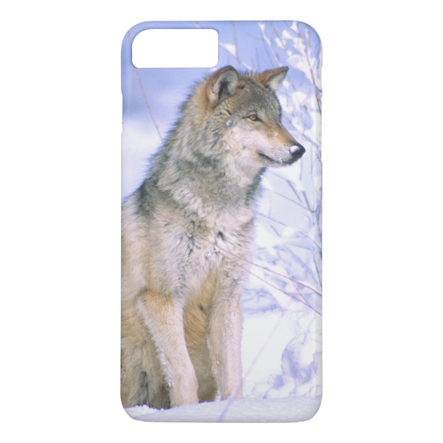 Holzwolf im Schnee, Canis lupus, Case-Mate iPhone Hülle (Rückseite)