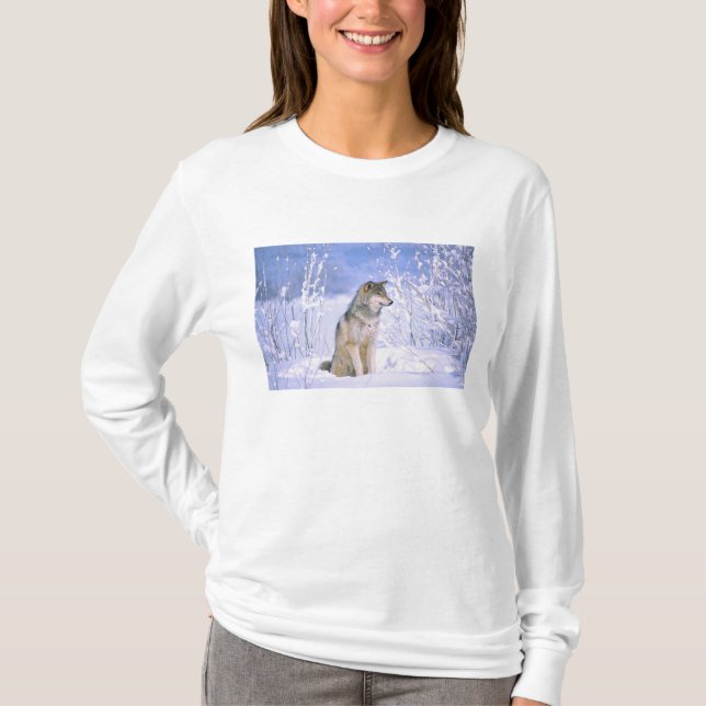 Holzwolf im Schnee, Canis lupus, T-Shirt (Vorderseite)