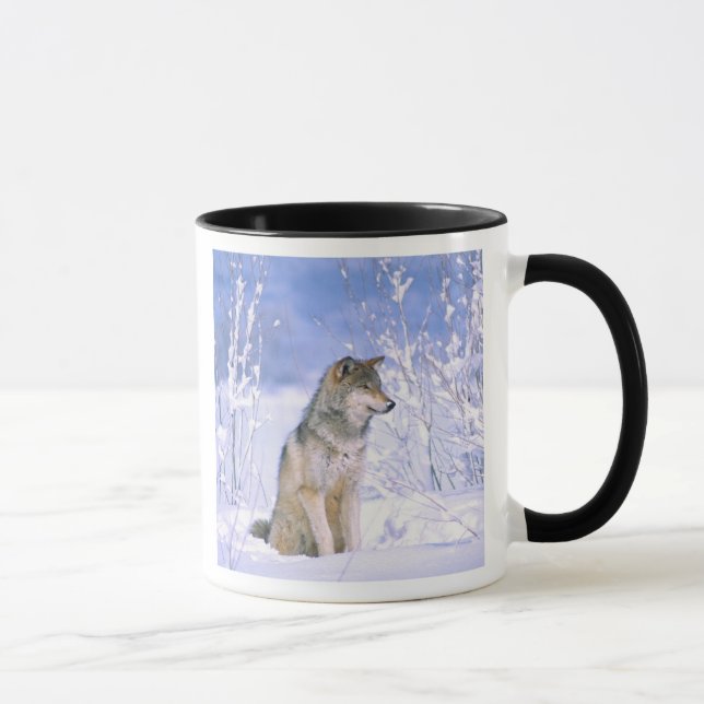 Holzwolf im Schnee, Canis lupus, Tasse (Rechts)