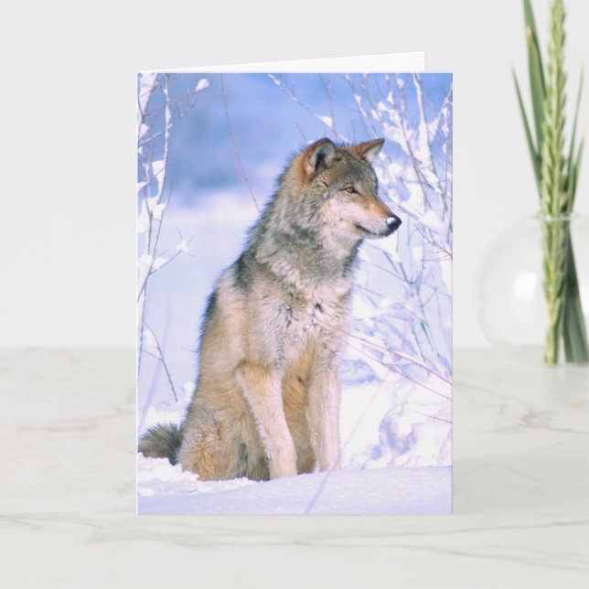 Holzwolf im Schnee Feiertagskarte (Vorderseite)