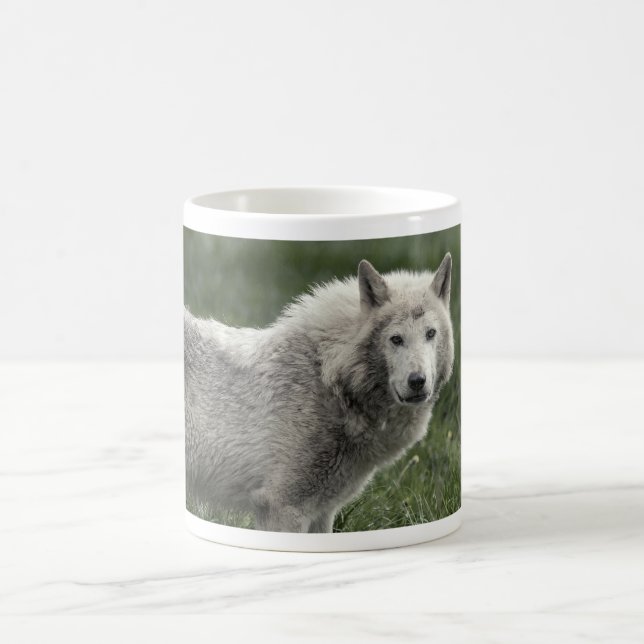 Holzwolf Tasse (Mittel)