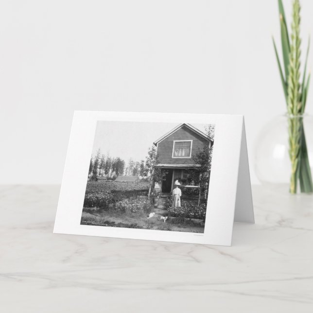 Home Cats Fairbanks Alaska 1916 Karte (Vorderseite)