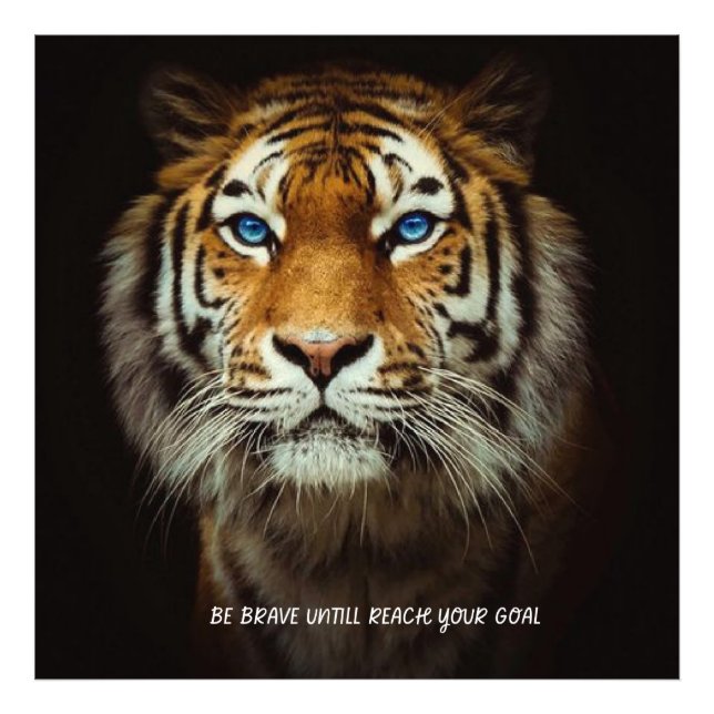 Home & Living > Home Decor > Pillows & Poufs > Thr Fotodruck (Vorne)