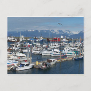 Homer Alaska Postkarte