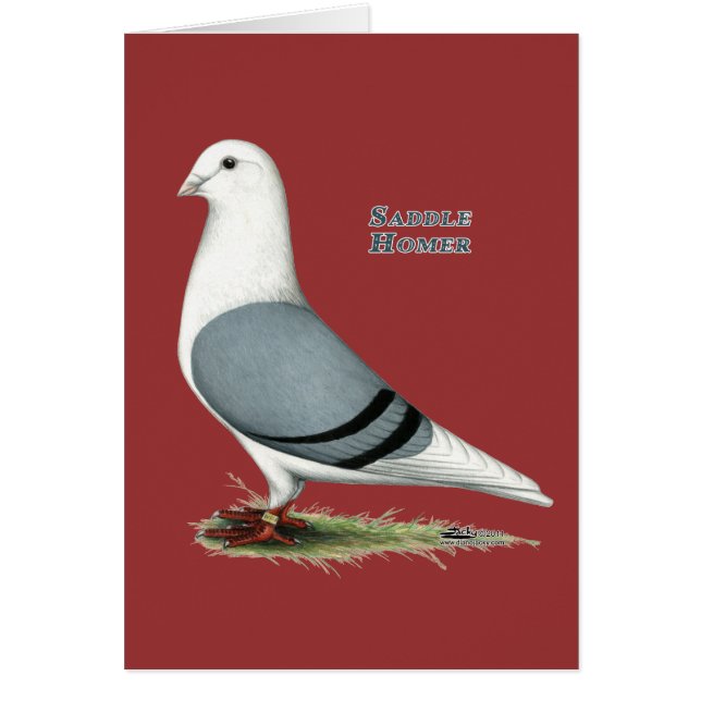 Homer Blue Saddle (Vorne)