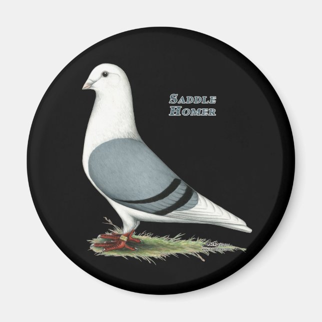 Homer Blue Saddle Magnet (Vorne)