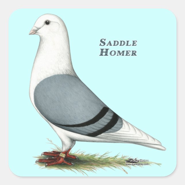 Homer Blue Saddle Quadratischer Aufkleber (Vorderseite)