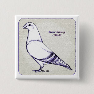 Homer Design Button
