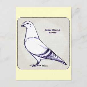 Homer Design Postkarte