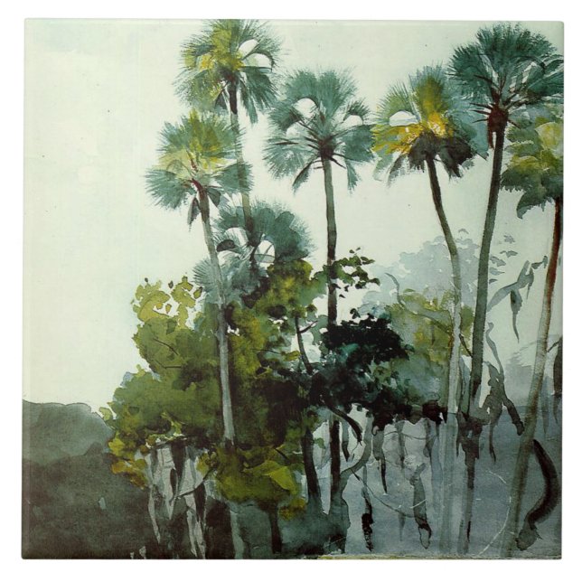 Homer - Fluss Homosassa Fliese (Vorderseite)