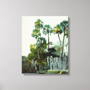 Homer - Fluss Homosassa Leinwanddruck