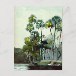 Homer - Fluss Homosassa Postkarte