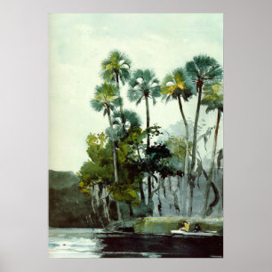 Homer - Homosassa-Fluss Poster