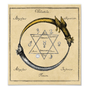 Homers Drachen Ouroboros Fotodruck
