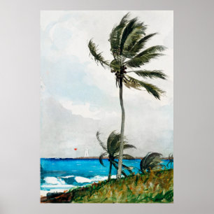 Homer's Palm Tree, Nassau Poster