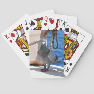 Homing Taube Spielkarten