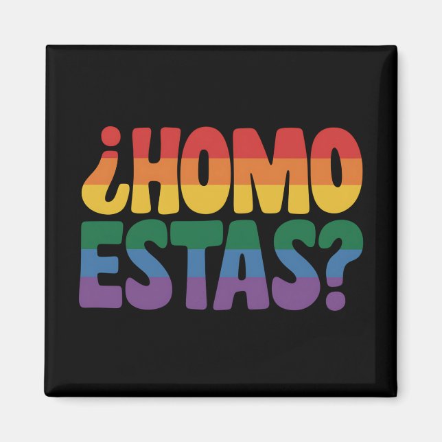 Homo Estas Funny Spanish Mexican Gay Ally LGBTQ Magnet (Vorne)
