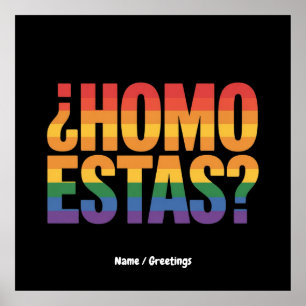 Homo Estas Spanish Mexican Funny Gay Pride Month Poster