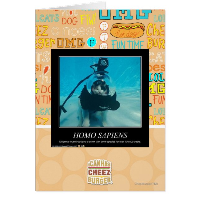 Homo sapiens (Vorne)