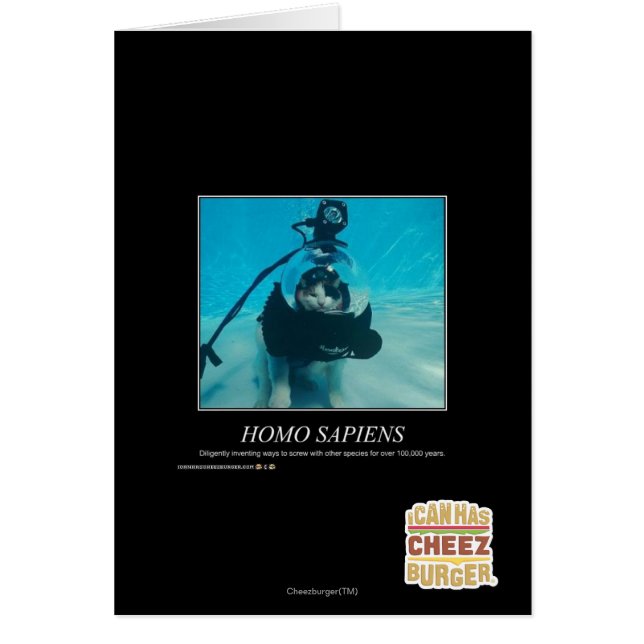 Homo sapiens (Vorne)