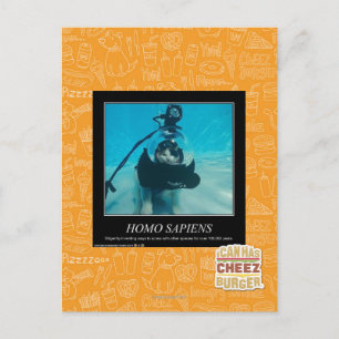 Homo Sapiens Postkarte