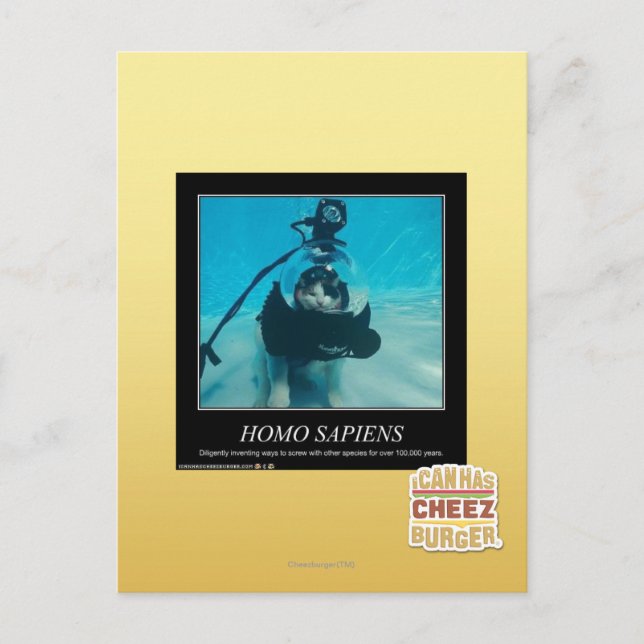 Homo Sapiens Postkarte (Vorderseite)