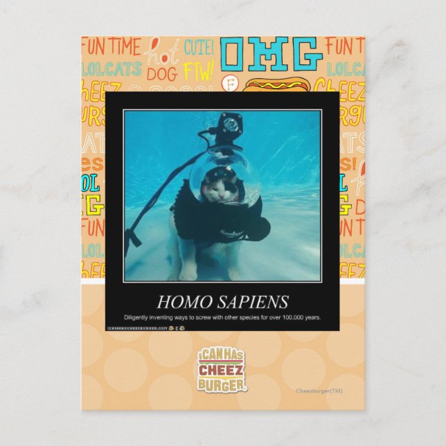Homo Sapiens Postkarte (Vorderseite)