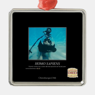 Homo sapiens silbernes ornament