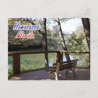 Homosassa Florida Postcard Postkarte