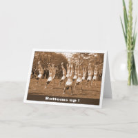 Homosexueller Geburtstag erreicht oben einen