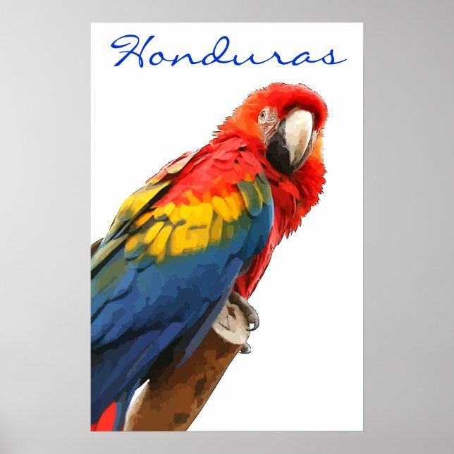 Honduras Scarlet Macaw Poster (Vorne)