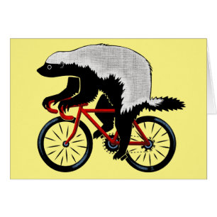 Honey Badger auf einem Fahrrad