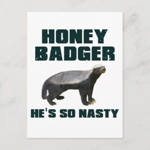 Honey Badger, er ist so Eklig Postkarte