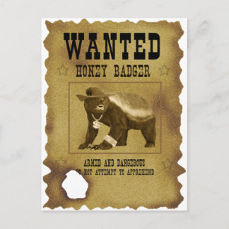 Honey Badger Gewollt Poster Postkarte