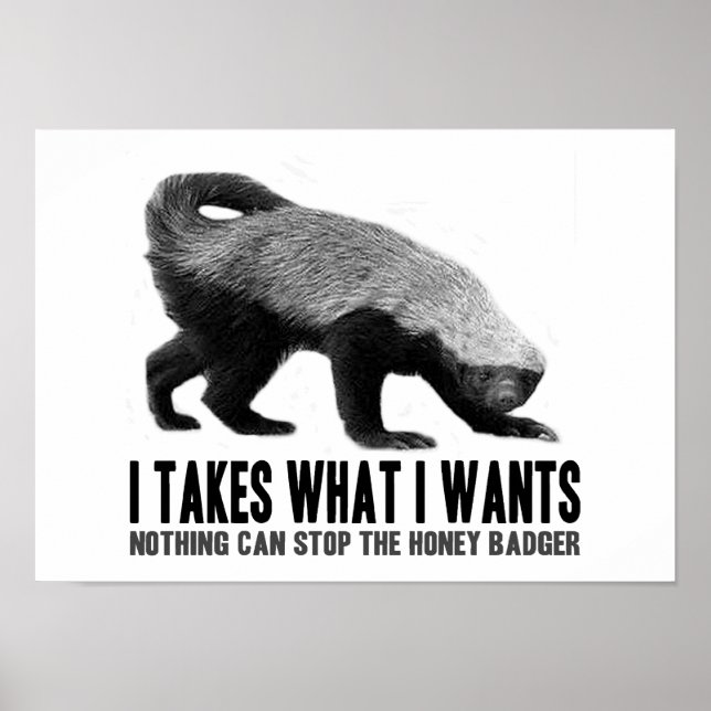 Honey Badger - Ich nehme, was ich Gewollt habe Poster (Vorne)