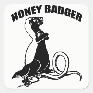 Honey Badger Quadratischer Aufkleber