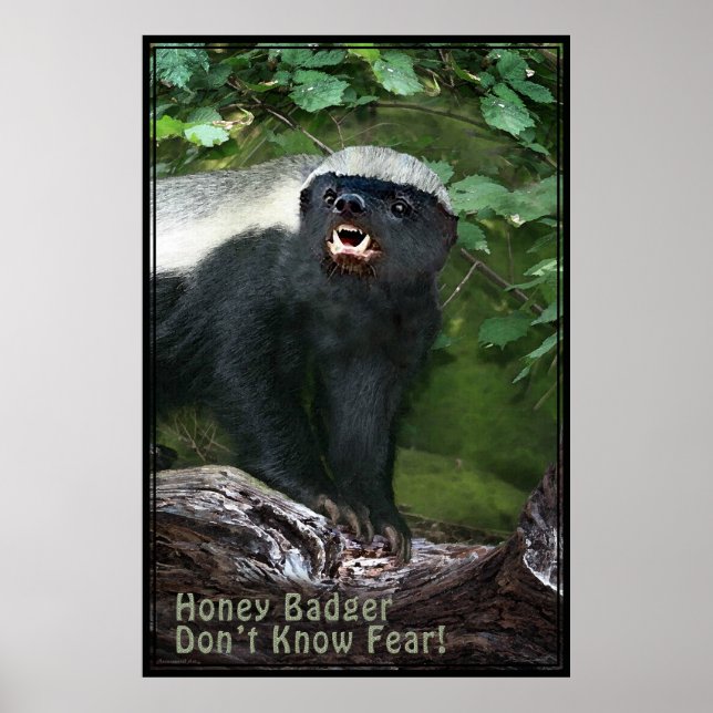 Honey Badger V2 Poster -40x60 -andere Größen auch (Vorne)