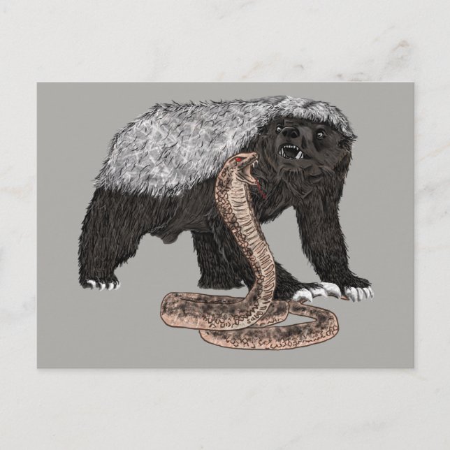 Honey Badger verses Schlangendarstellung Postkarte (Vorderseite)