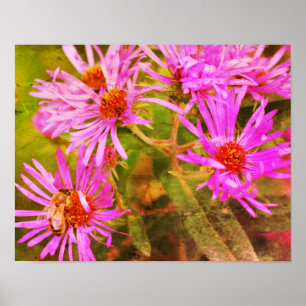 Honey Bee Aster Blume gestörte Kunst Poster