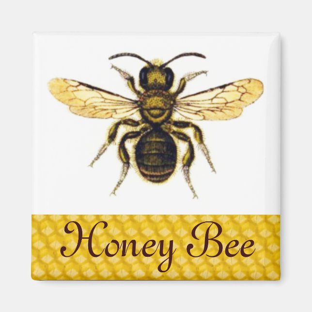 HONEY BEE ,BEEKEEPER MAGNET (Vorne)