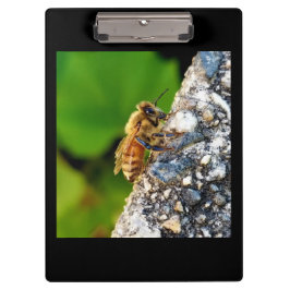 Honey Bee Clipboard Klemmbrett
